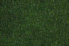 Tennis Grass