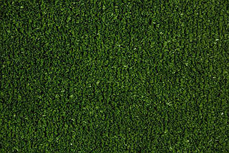 Tennis Grass, фото 1
