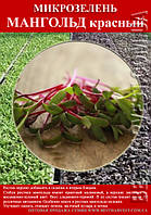 Семена на микрозелень «Мангольд» 100 г
