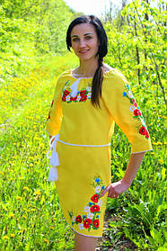 Жіночі вишиті сукні 3