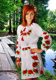 Жіночі вишиті сукні 14