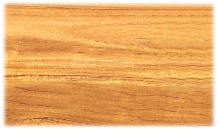 Тиковий стілець TE-02T УЦІНКА, фото 2