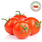 Насіння томатів Кращий урожай
