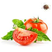 Інкрустоване насіння томатів