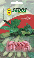 Семена кабачка сотр Ленуца F1, 5 семян инкрустированные .