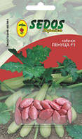 Насіння кабачка Ленуца F1 15 насіння інкрустоване. Ранній.