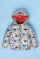 Куртка демисезонная для мальчика Zironka 48-9002-2 98 см Серый