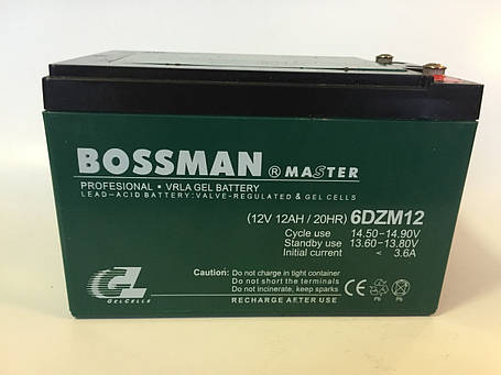 Акумулятори до електровелосипедів BOSSMAN 6DZM12E (Клеми), фото 1