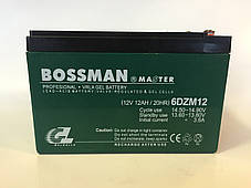 Акумулятори до електровелосипедів BOSSMAN 6DZM12E (Клеми), фото 3