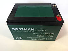 Акумулятори до електровелосипедів BOSSMAN 6DZM12E (Клеми), фото 6