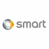 Чохли для ключів SMART