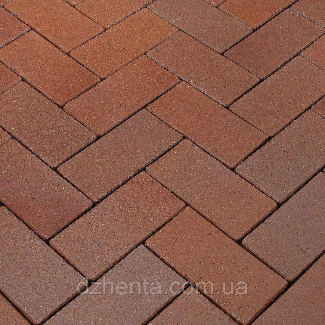 Клінкерна бруківка Lausitz, фото 1