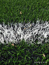 Харьков. Искусственная трава для футбольного поля