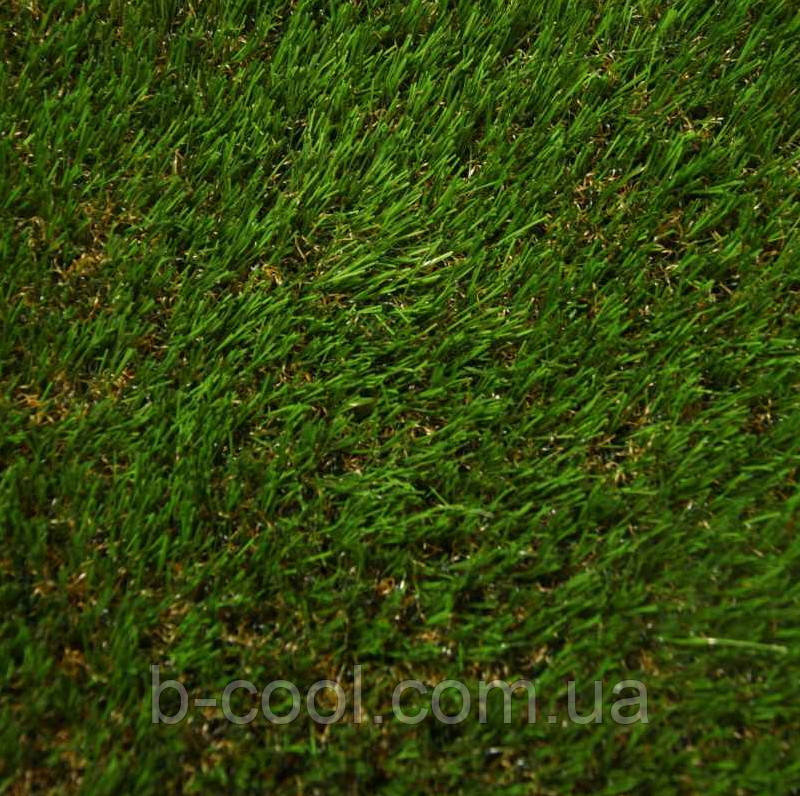 Doga Grass