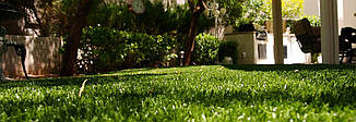 Doga Grass, фото 4