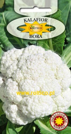 Насіння цвітної капусти Бора 1г ТМ ROLTICO, фото 1