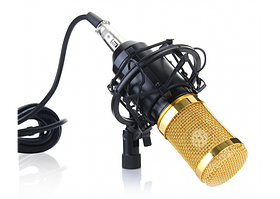 Мікрофон студійний MHZ M-800