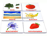 Розвиваюча гра Картки Домана Випуск 2 Світ природи «Вундеркінд з пелюшок» - 6 наборів арт. 095221, фото 2