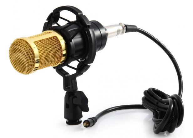 Студійний мікрофон MHZ M-800