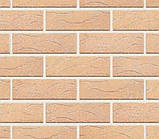 Цеглин Керамія Рустика з посипкою М-350, фото 4