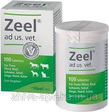 Zeel Tab 100 таб. vet