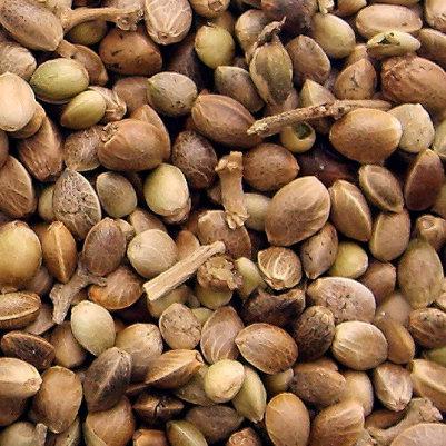 Зерна коноплі Robin Hemp Seed 1 kg