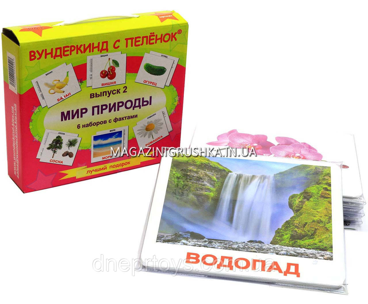 Розвиваюча гра Картки Домана Випуск 2 Світ природи «Вундеркінд з пелюшок» ламінація 6 наборів 120 карток