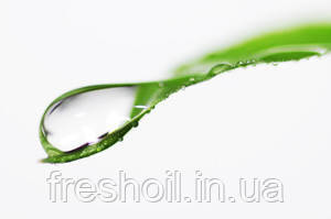 Гідролізат плаценти 0,5 кг, фото 1