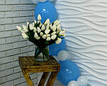 Набір для гірлянди з повітряних кульок (біло-блакитна) насос в комплекті, фото 6
