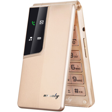 Мобільний телефон Unruly U515 gold 2 сім