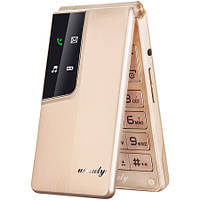 Unruly U515 gold 2 сим