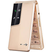 Мобільний телефон Unruly U515 gold 2 сім