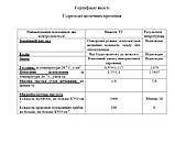 Гідролізат молочних протеїнів 0,5 кг (477 мл), фото 3