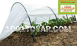 Парник "SHADOW", 6 метрів 60 г/м², 1200х800 мм. (Агро-теплиця), фото 5