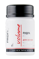 Пудра для об'єму ProfiStyle Volume 10 г