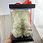 Мишко з штучних 3D троянд 25 см білий в подарунковій коробці подарунок на 8 березня мамі дівчині, фото 2