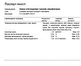 Олія кедрового горіха нерафінована 0.5 кг (530 мл), фото 4