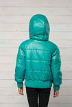 Куртка дитяча на блискавці і кнопках, фото 2