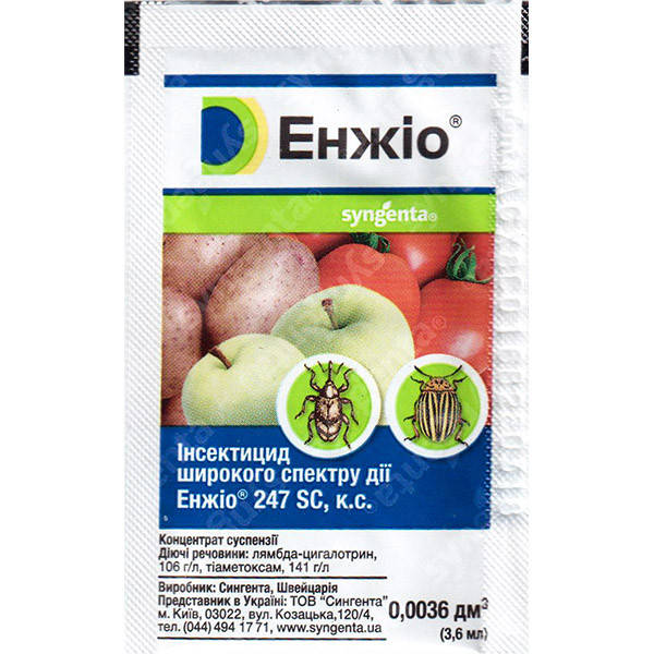 Порно массаж оргазмы фонтаны