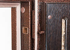 Модель 116 вхідних дверей Саган Стандарт, Ніколаїв, фото 2