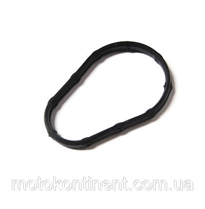 19317-ZW9-000 Прокладка кришки термостата BF8/BF10/BF15/BF20, фото 1