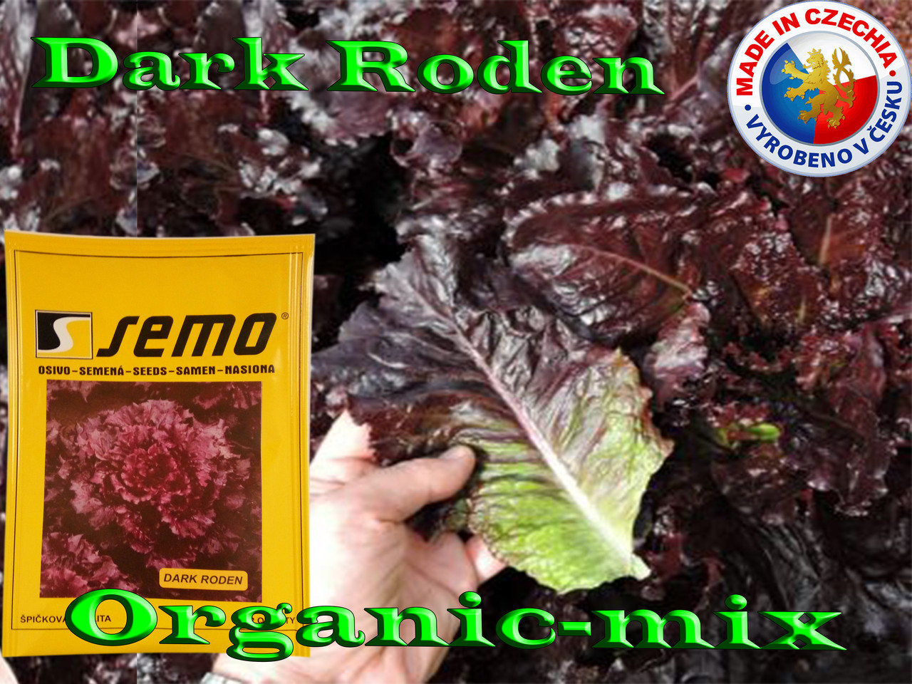 Салат Дарк Роден (Dark Roden), ТМ SEMO (Чехія) проф. пакет 1 грам