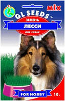Зелень для цуценят Лессі
