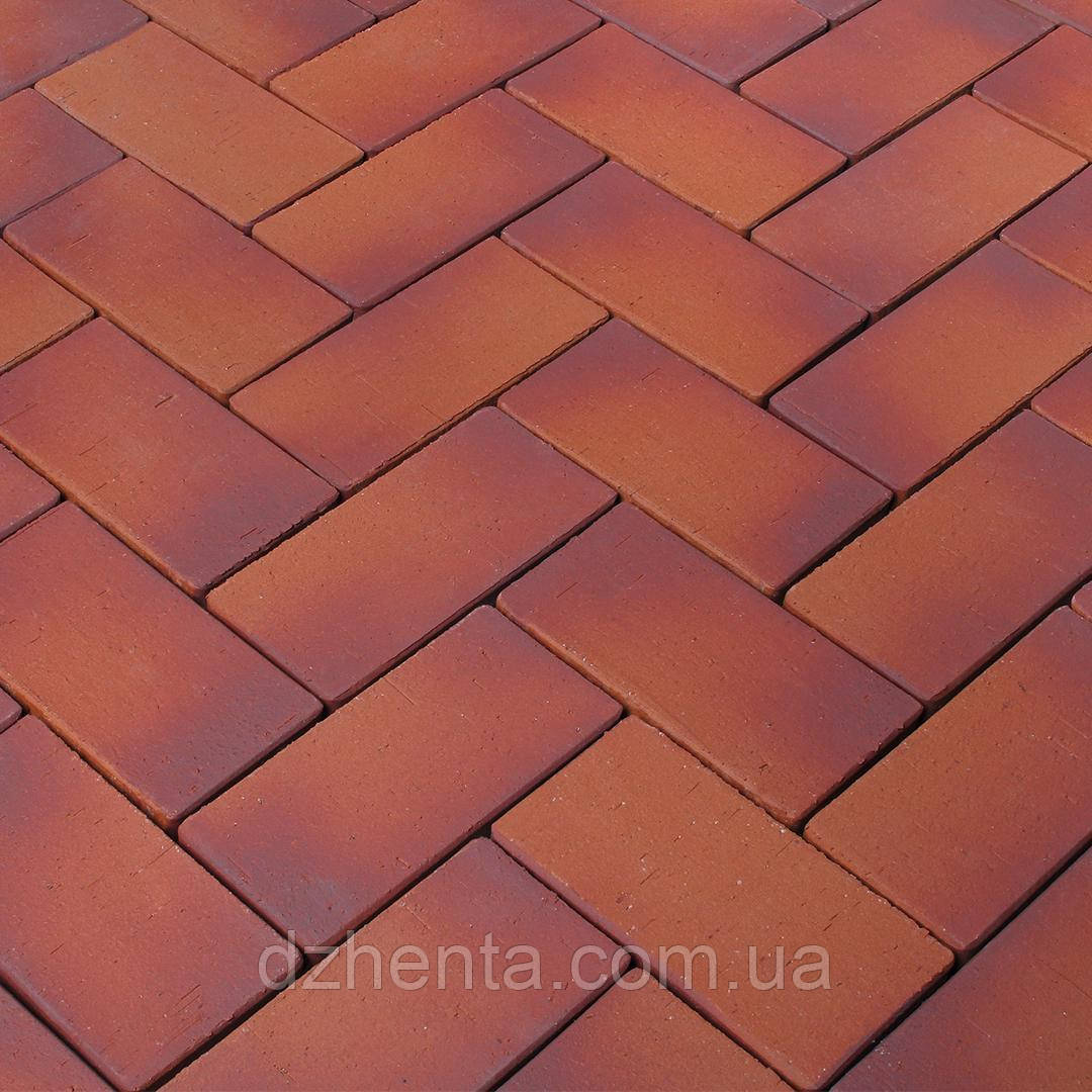 Клінкерна брусковина Oderland, фото 1