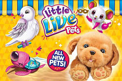 Little Live Pets