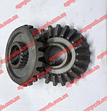 14817 ШІСТЕРНЯ УВАГУ ЗБЕРІГНОЇ МУФТИ FANTINI, фото 2