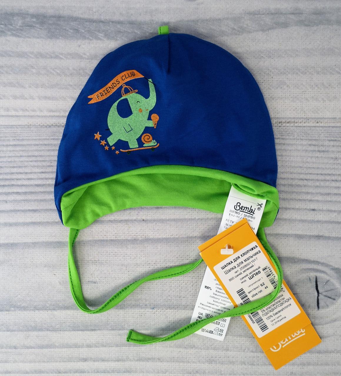 Шапочка для малюків Осінь-весна Синій/зелений Бавовна Бембі Україна 5-7 місяців, фото 1