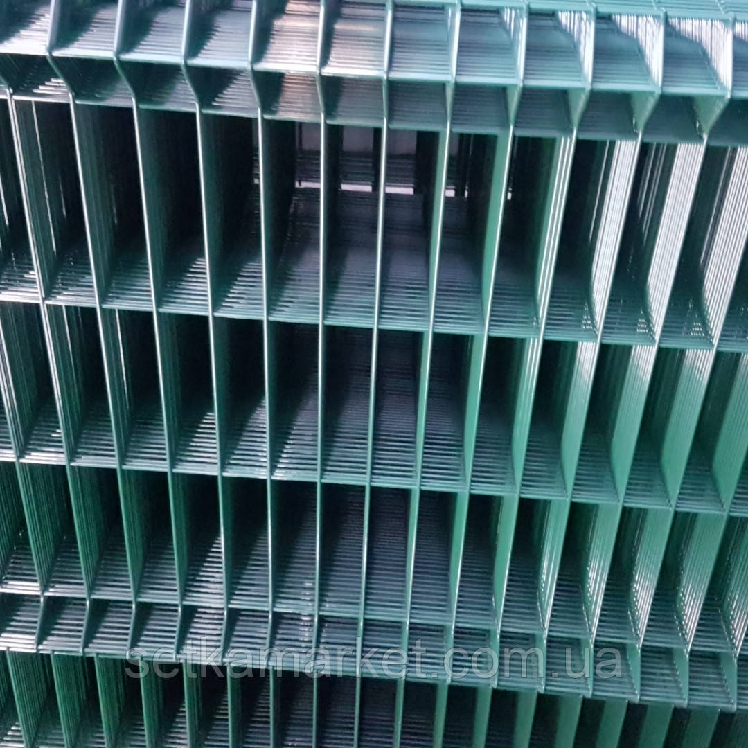 Секція 3D, осередок 60х200, Ø 4 мм, 1,2x2,5, в полімерному покритті