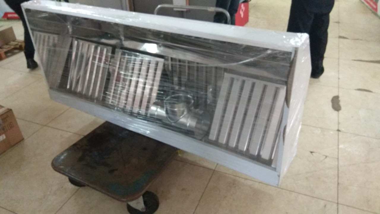 Витяжна парасолька пристінна неіржавка 600х1400, фото 1