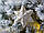 Led нічник зірка біла кераміка h12см Гранд Презент 1010125, фото 2